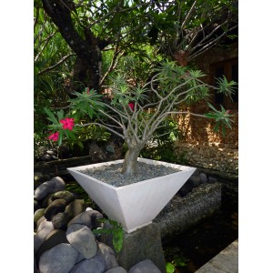 Colonne et vasque Terrazzo – décoration jardin