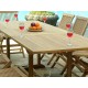 Salon de jardin en teck 10 personnes rectangle brut